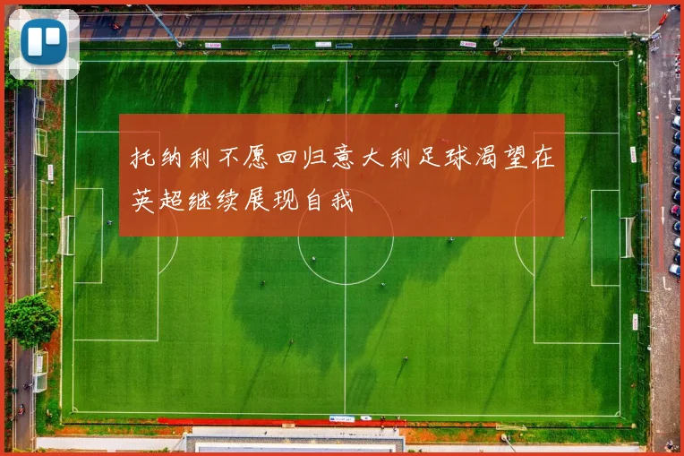 托纳利不愿回归意大利足球渴望在英超继续展现自我